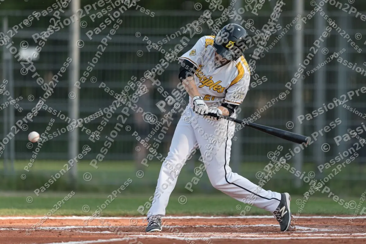 mf_MHDHDH_20170518_0085