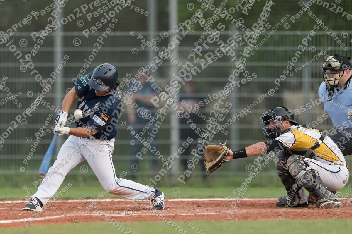 mf_MHDHDH_20170518_0573