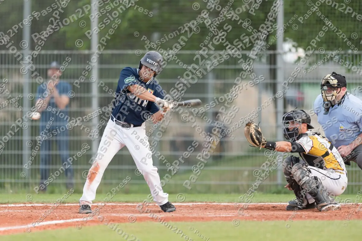 mf_MHDHDH_20170518_0598