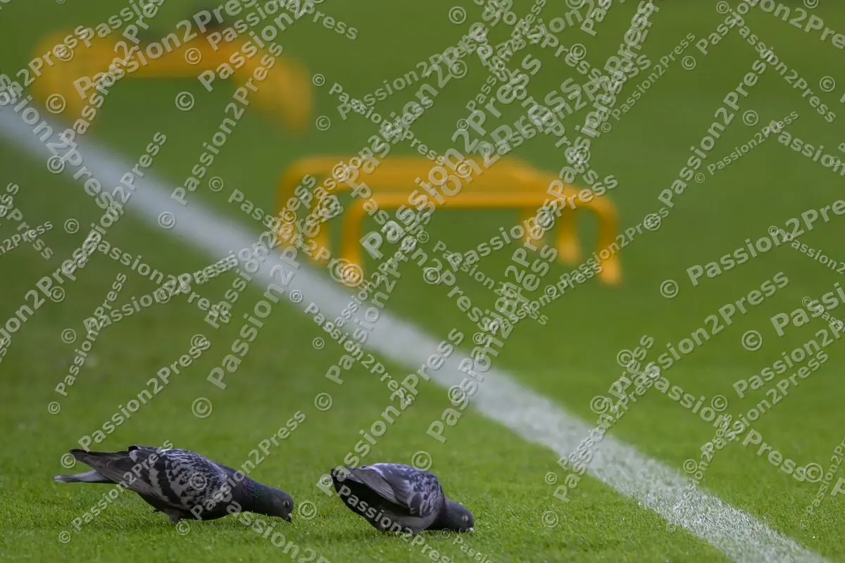 FCBFCA_20230311_0233