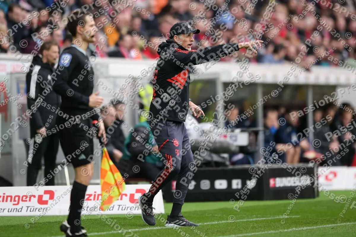 SCFFCB_20230408_1445