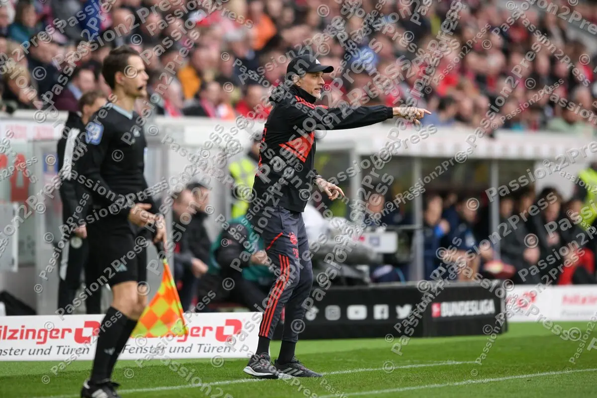 SCFFCB_20230408_1449-2