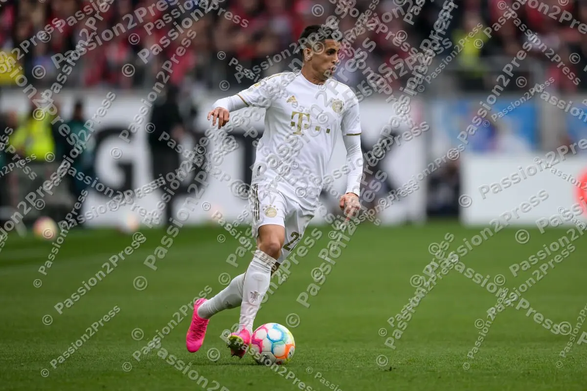 SCFFCB_20230408_1617