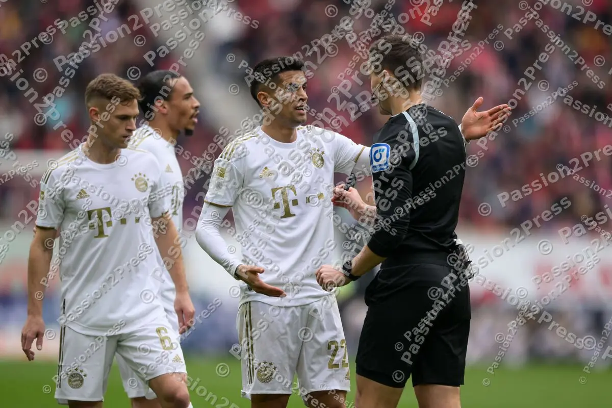 SCFFCB_20230408_1759