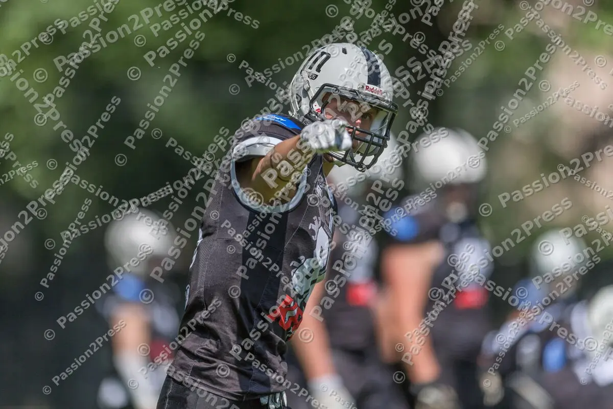 mf_MCIN_20170610_0012