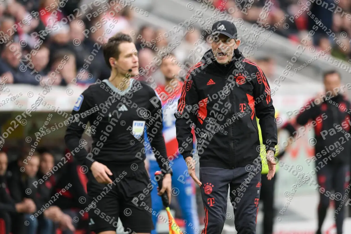 SCFFCB_20230408_2738