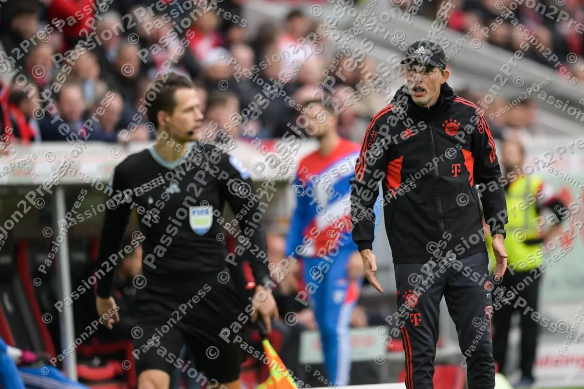 SCFFCB_20230408_2751