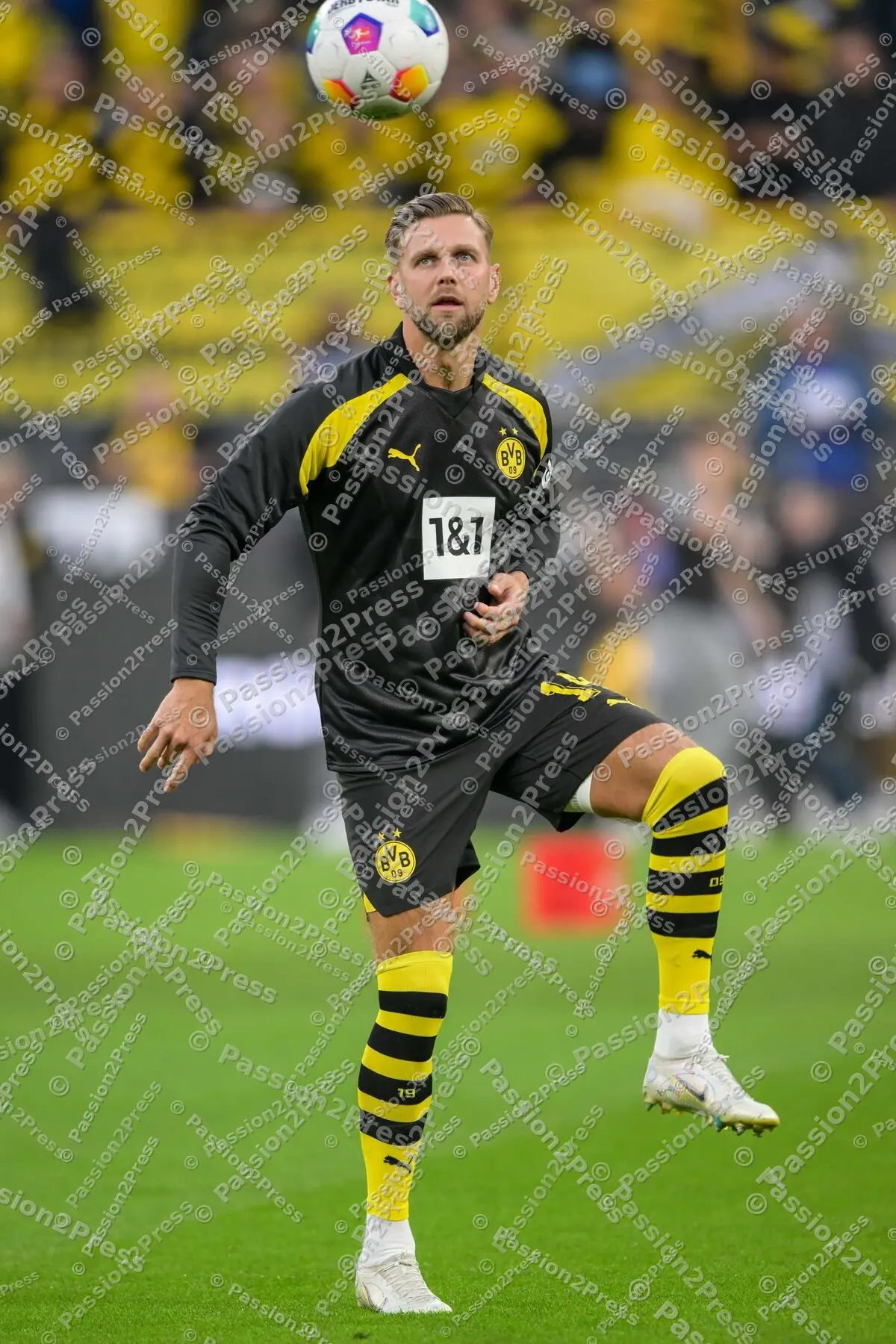 BVBFCH_20230901_0699