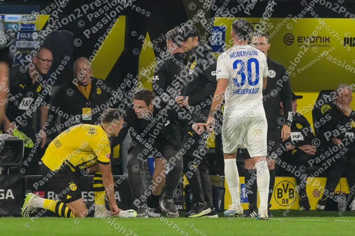 BVBFCH_20230901_1368