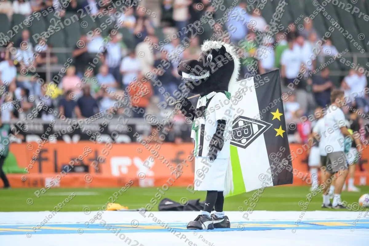 BMGFCB_20230902_0786