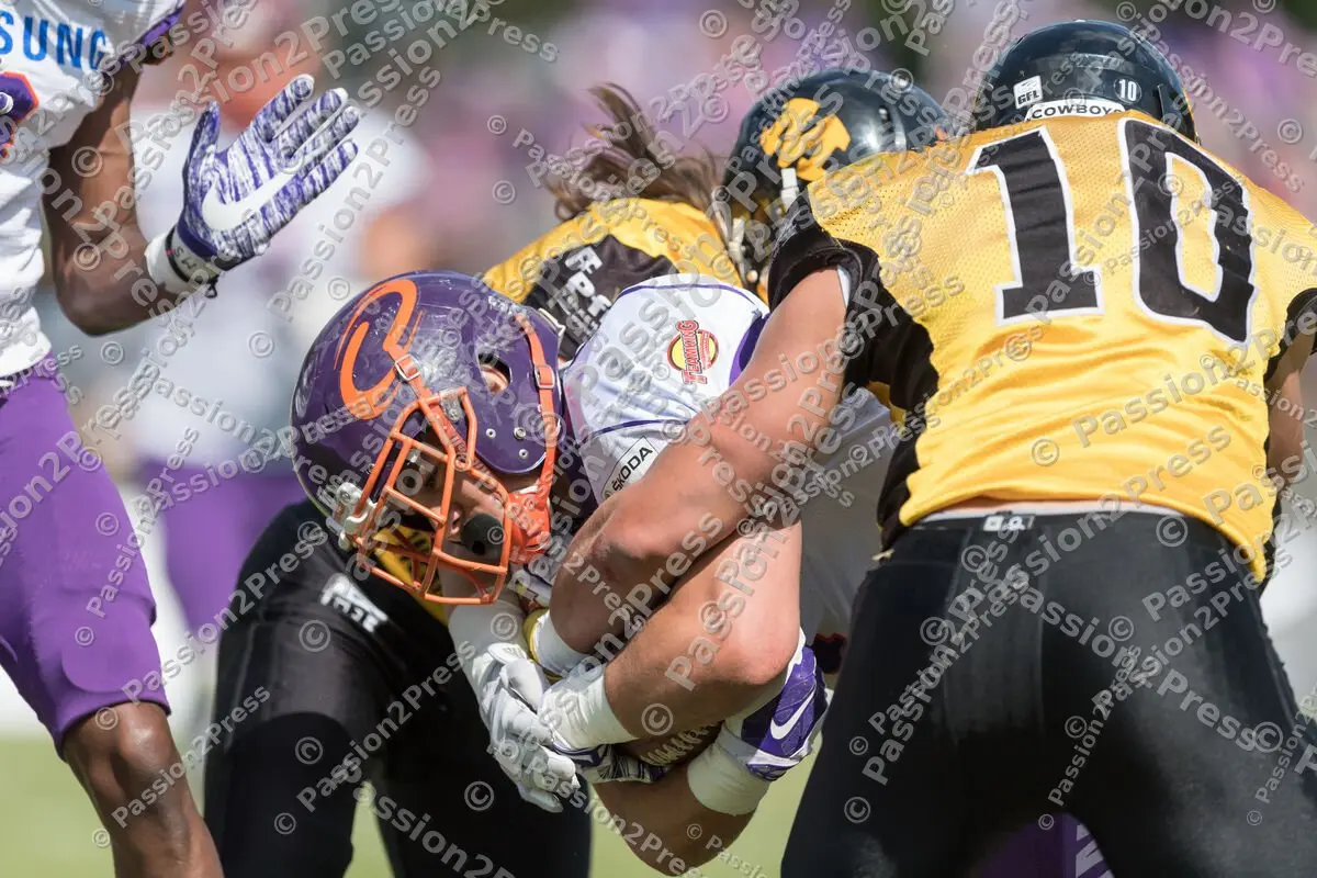 mf_MCFF_20170617_0045