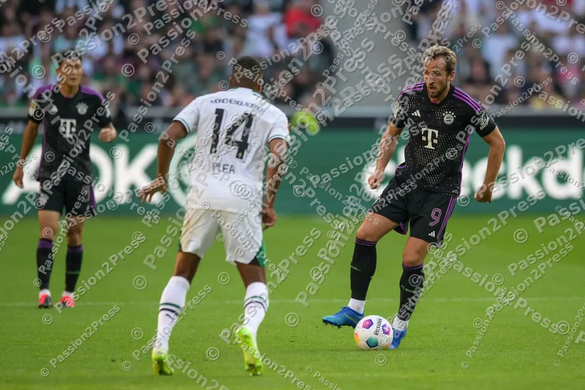 BMGFCB_20230902_1265