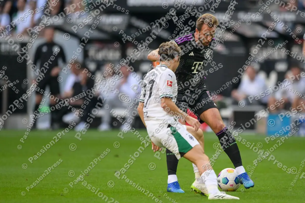 BMGFCB_20230902_1342