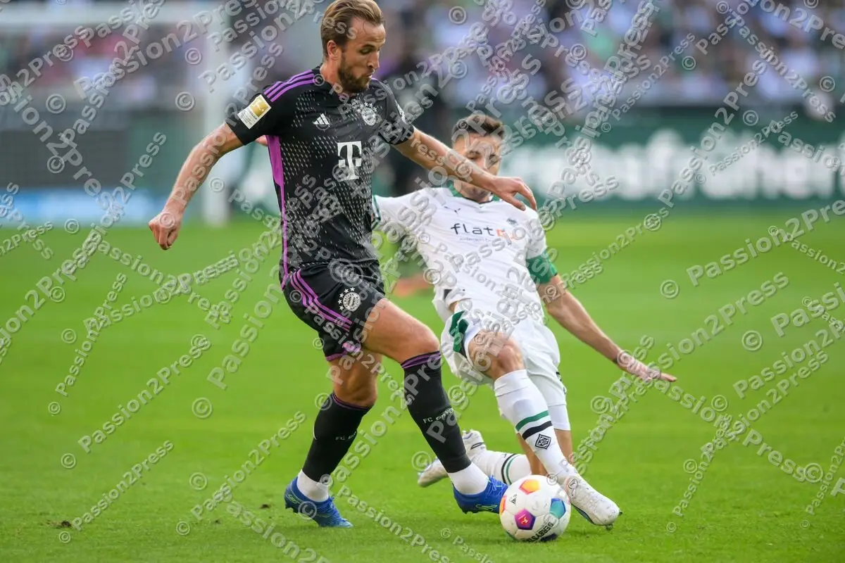 BMGFCB_20230902_1479