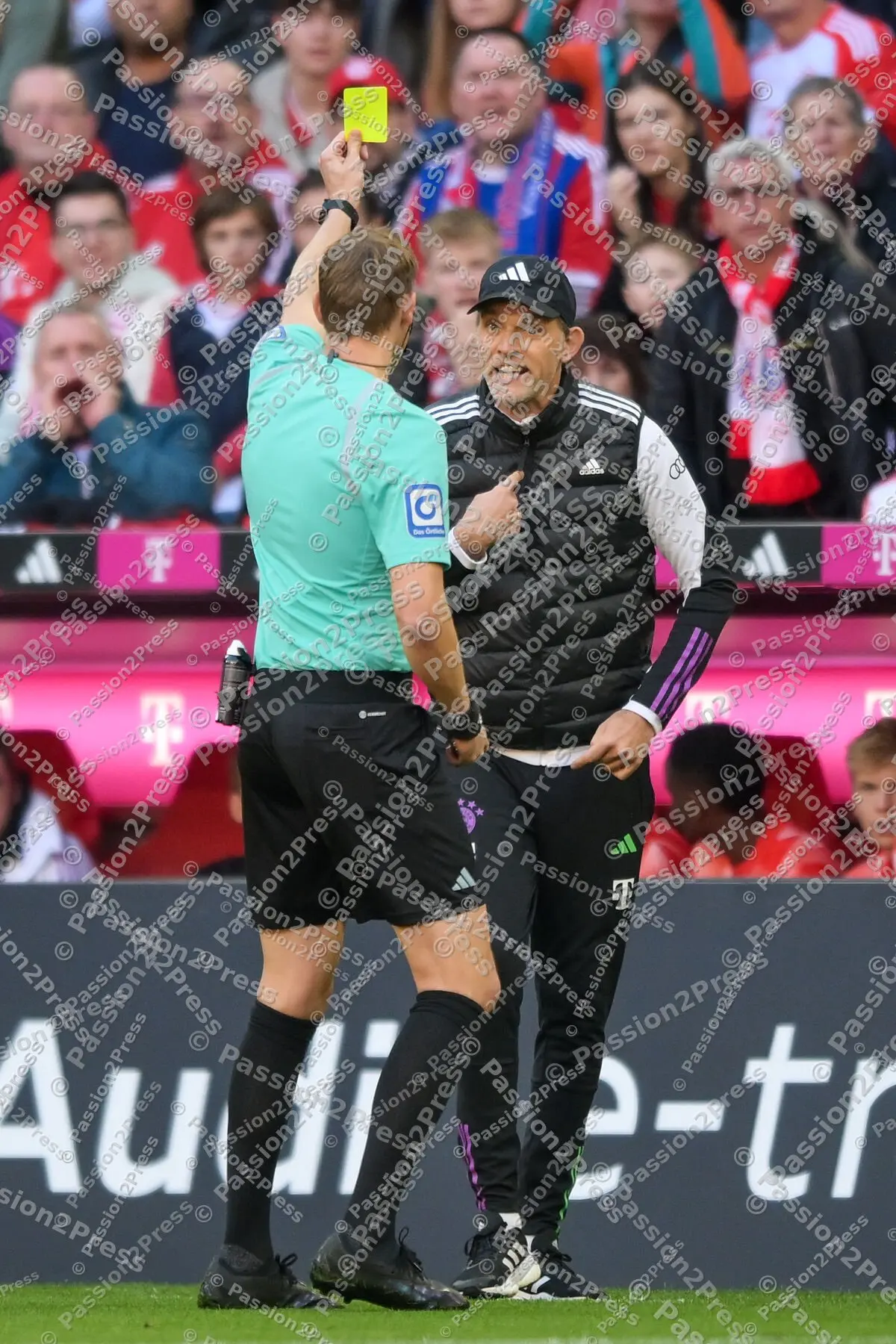 FCBSVD_20231028_0979