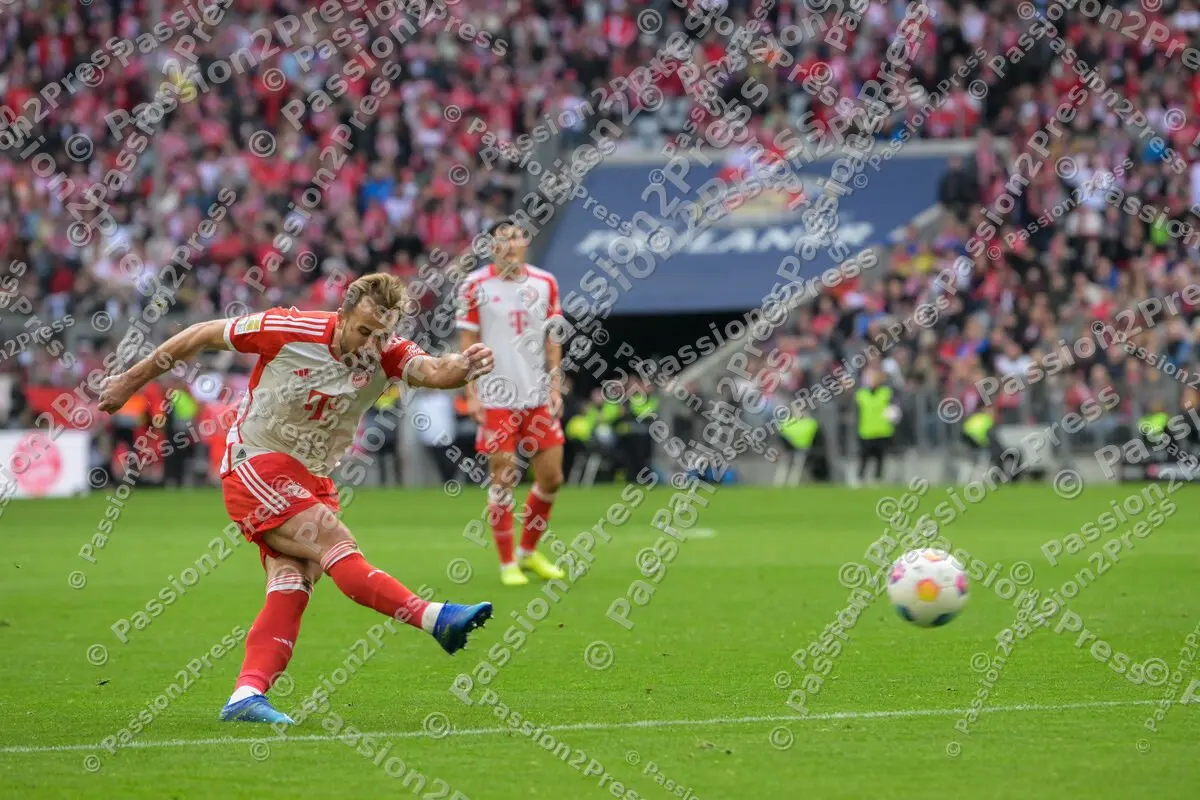 FCBSVD_20231028_1676