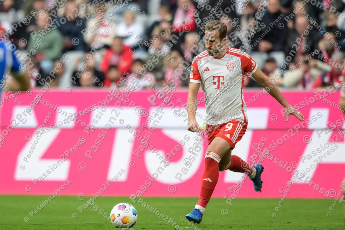 FCBSVD_20231028_1714