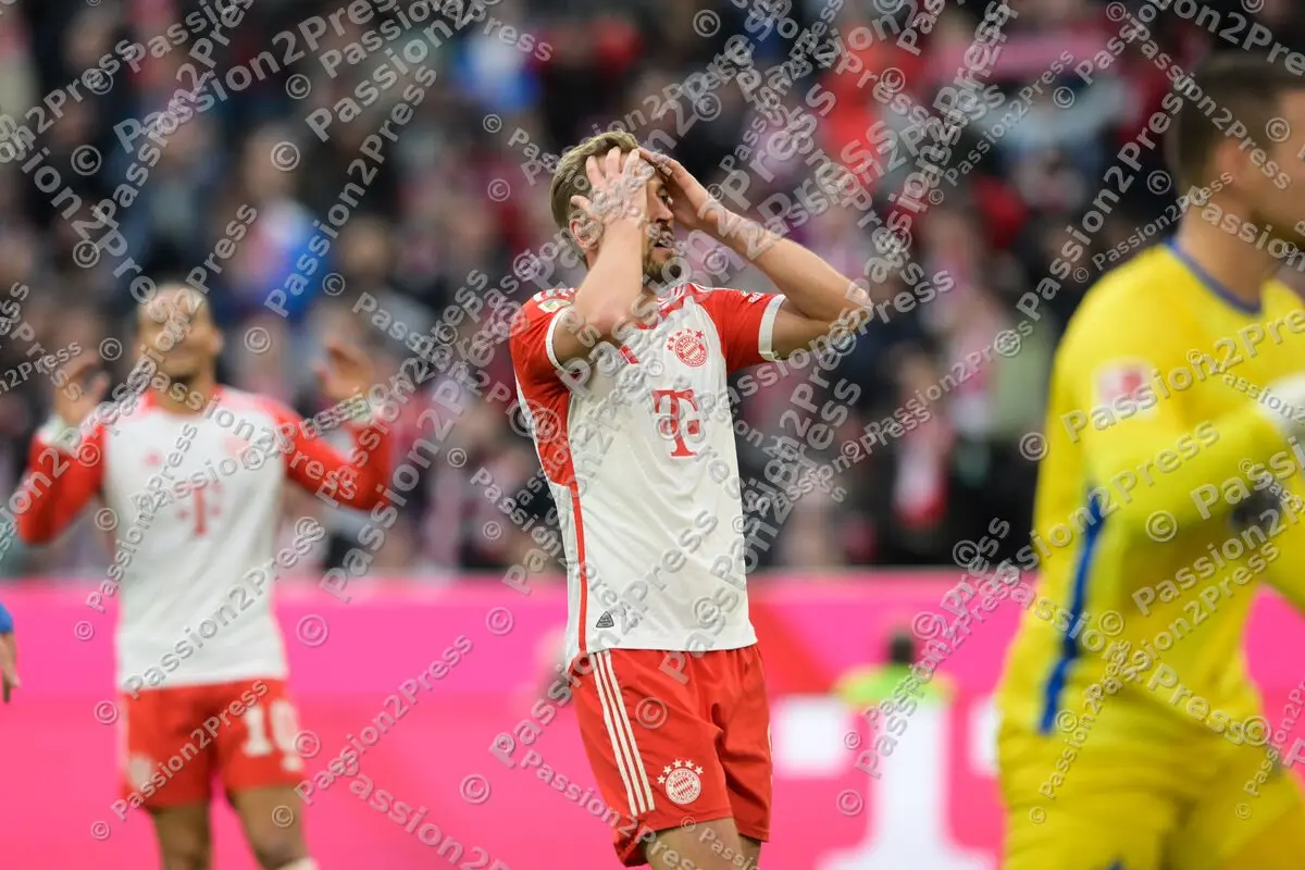 FCBSVD_20231028_2383