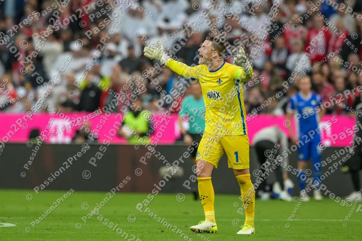 FCBSVD_20231028_2543