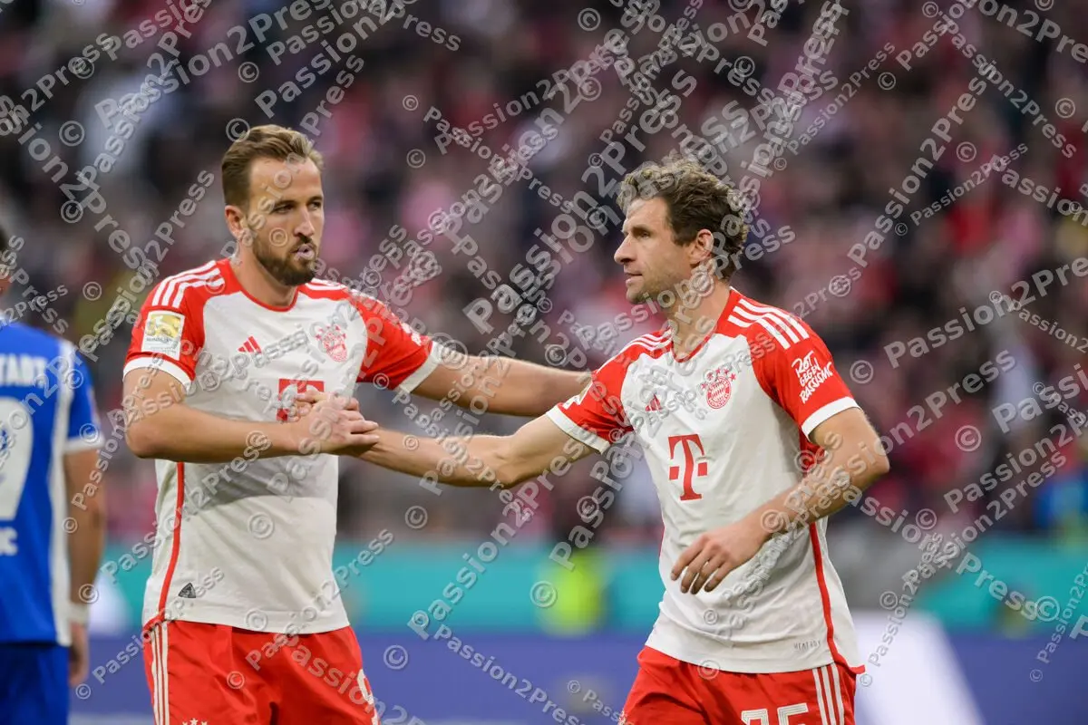 FCBSVD_20231028_2638
