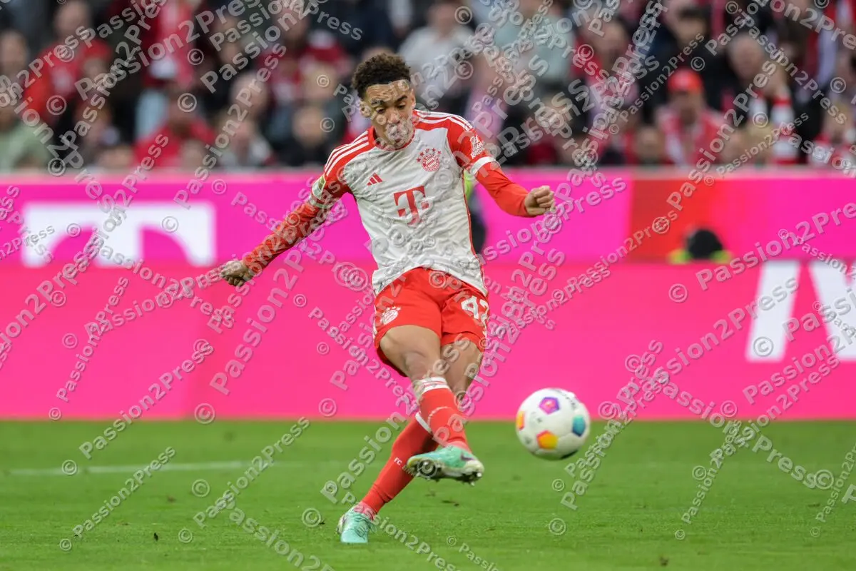 FCBSVD_20231028_2799