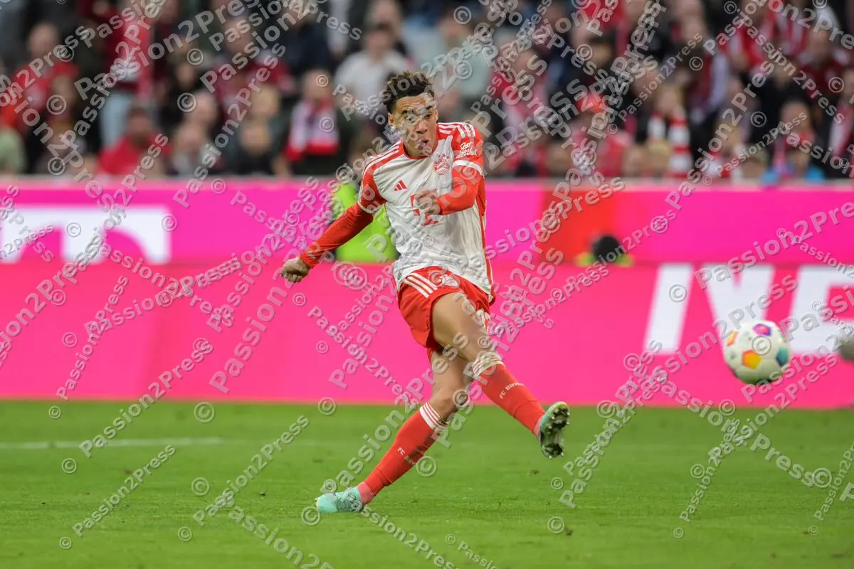 FCBSVD_20231028_2800