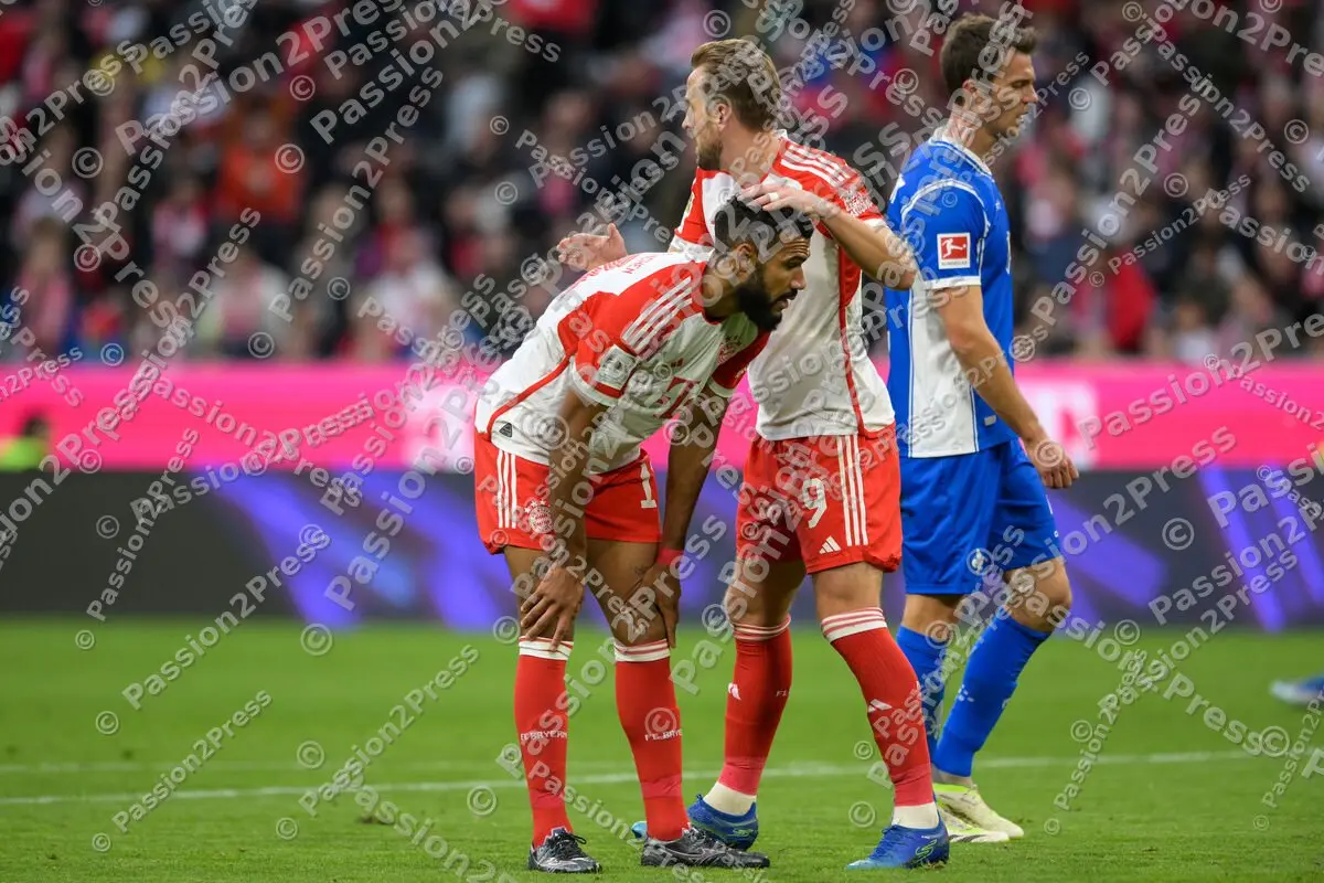 FCBSVD_20231028_3065