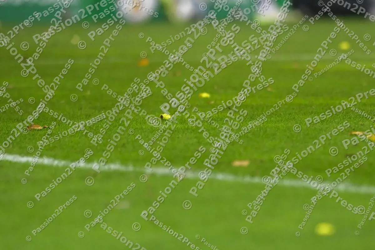 FCSFCB_20231101_0941