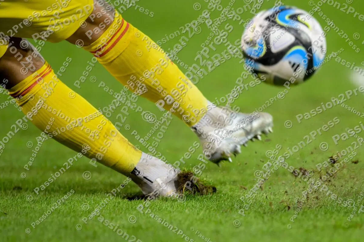 FCSFCB_20231101_1066