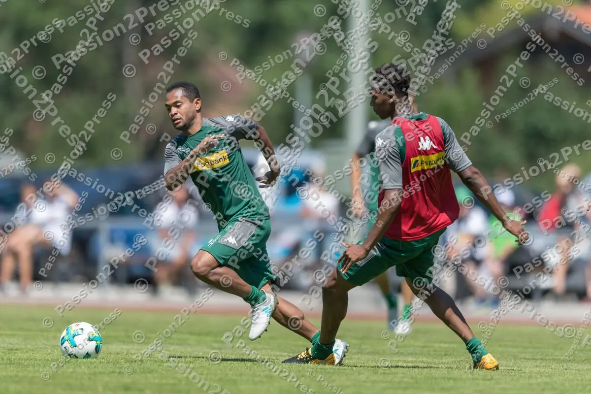 mf_BMG_20170718_0655