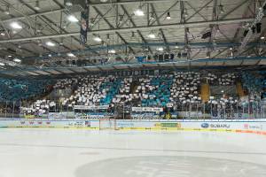RBMBHV_20190303_0459