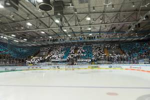 RBMBHV_20190303_0489