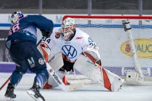 191011 RB München - Grizzlys Wolfsburg