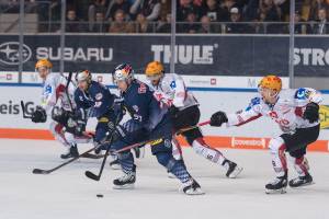 RBMBHV_20191103_0488