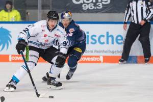 191129 RB München - Straubing Tigers