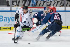 191129 RB München - Straubing Tigers
