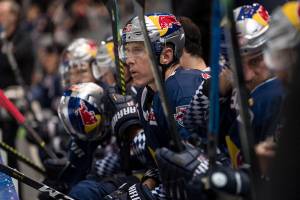 191129 RB München - Straubing Tigers