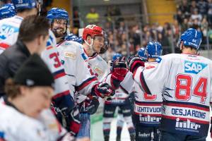 191208 RB München - Adler Mannheim