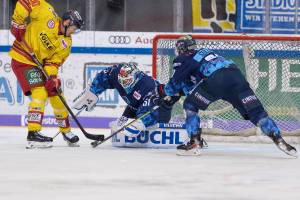 ERCIDEG_20200214_1132