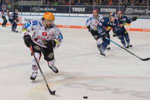 RBMBHV_20200216_0990