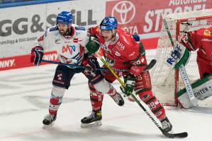 210204 Augsburger Panther - Adler Mannheim