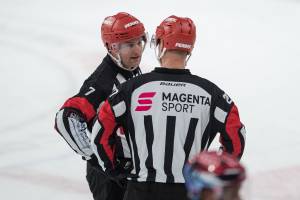 210314 Nürnberg Ice Tigers - ERC Ingolstadt