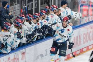 NBGERCI_20210314_1253