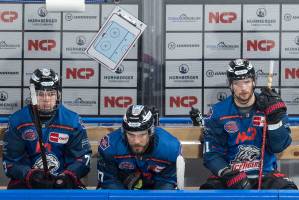 NBGERCI_20210314_1631