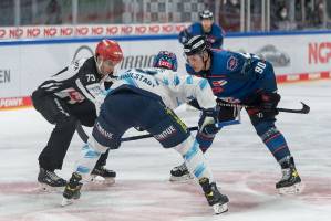 NBGERCI_20210314_1761