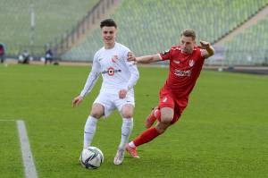 TGMHVS_20220129_0588