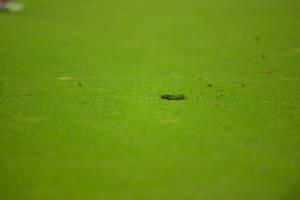 FCBRBL_20230520_2614