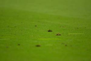 FCBRBL_20230520_2615