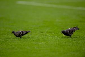 FCBSVD_20231028_1705