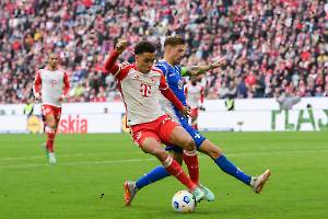 FCBSVD_20231028_2109